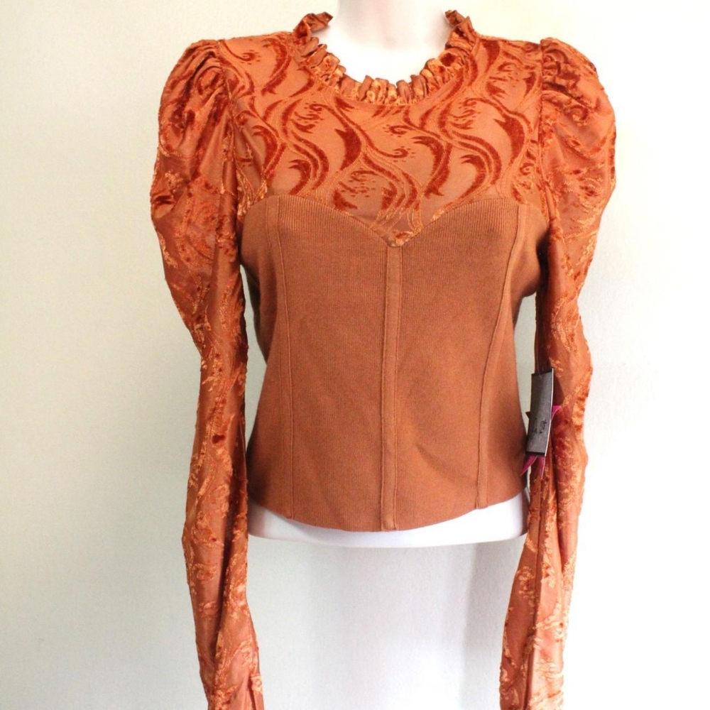 Corset and Velvet Blouse